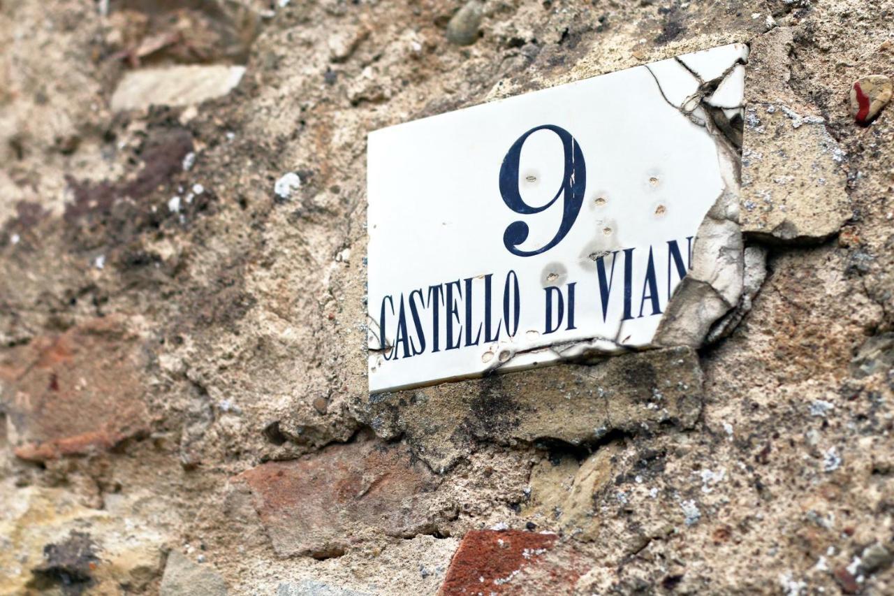 Castello Di Viano别墅 外观 照片