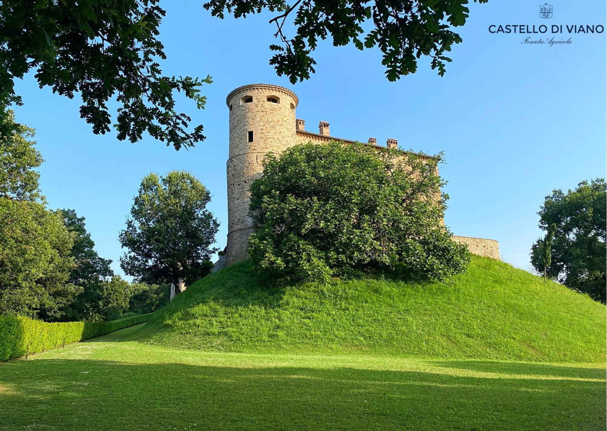 Castello Di Viano别墅 外观 照片