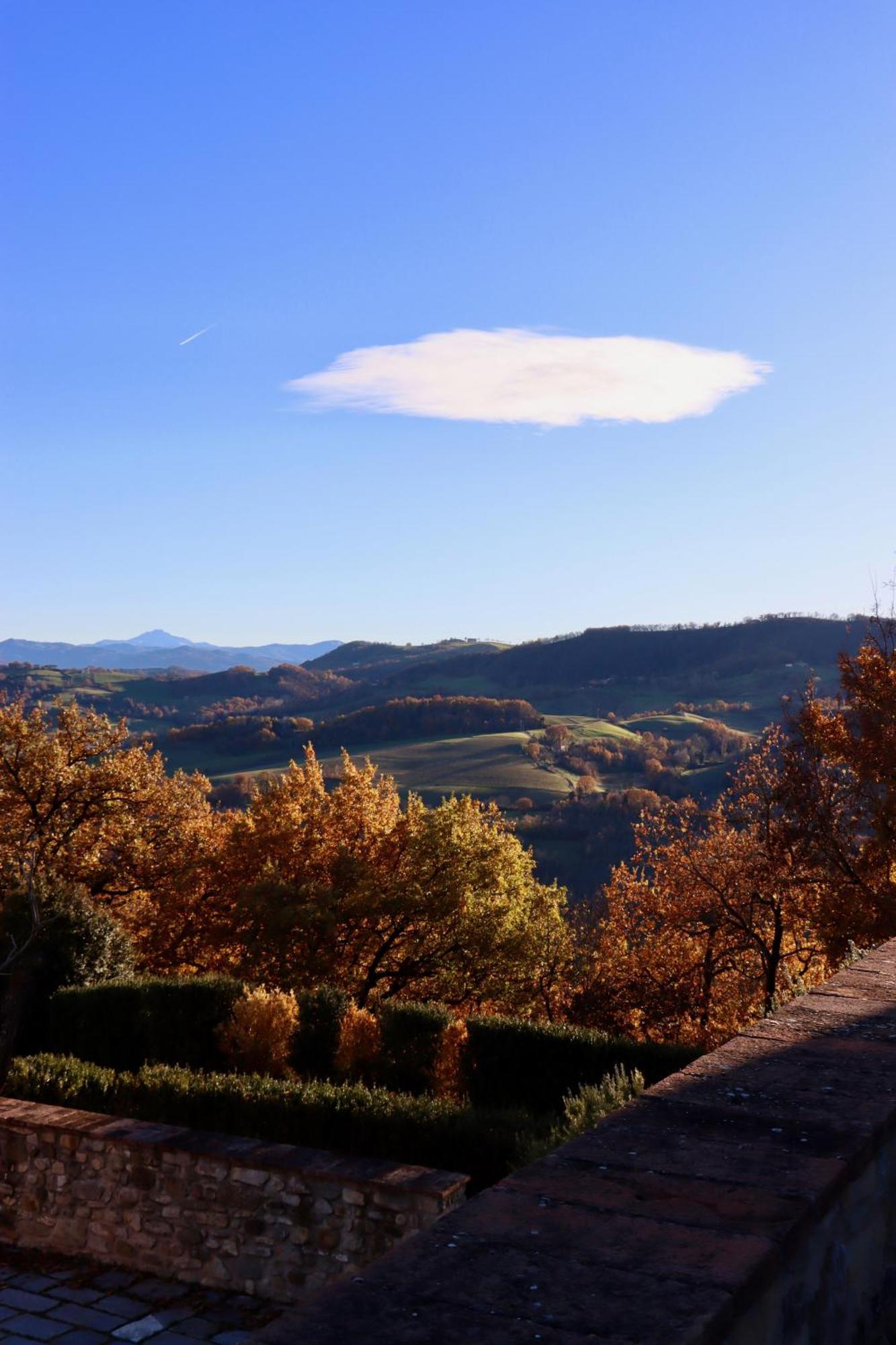 Castello Di Viano别墅 外观 照片