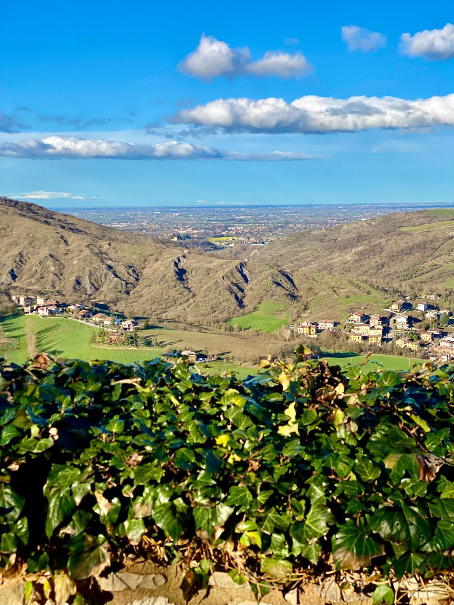 Castello Di Viano别墅 外观 照片