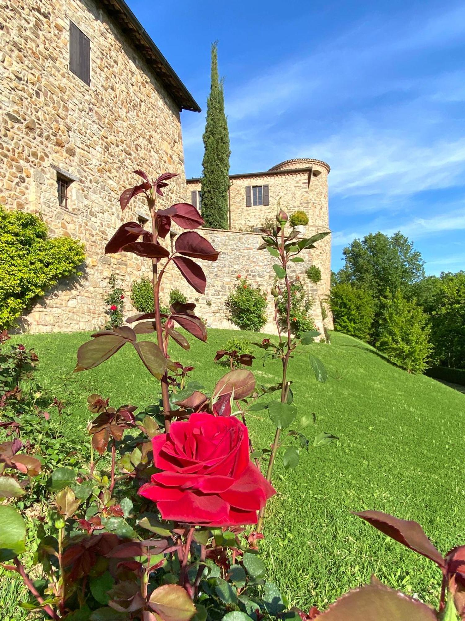 Castello Di Viano别墅 外观 照片