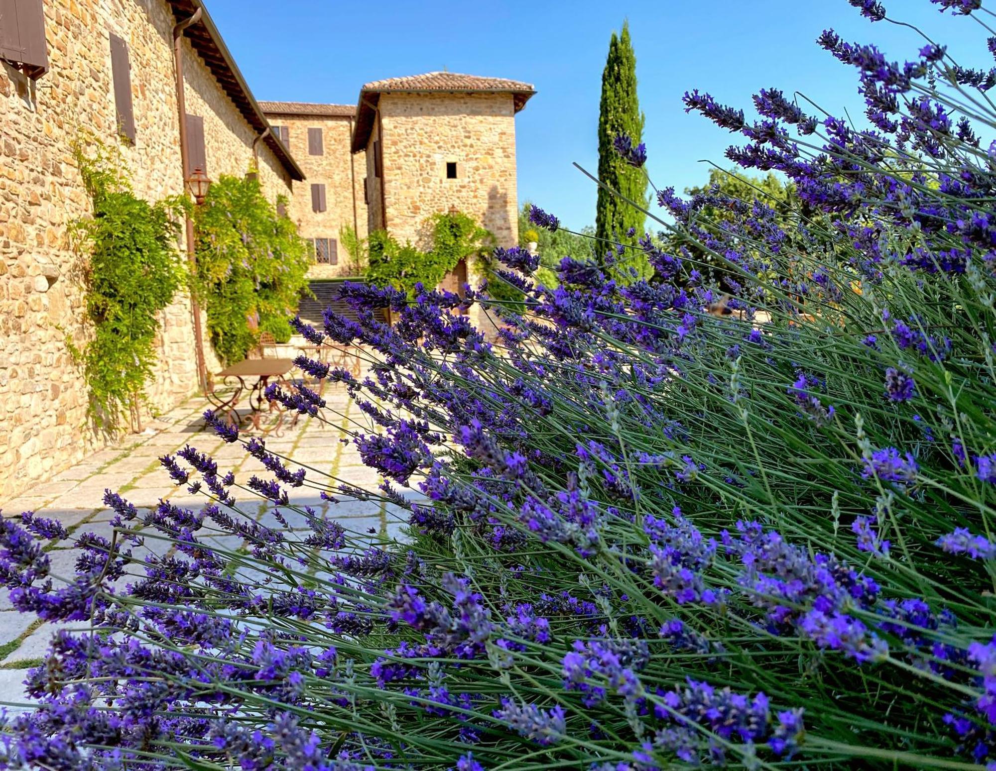 Castello Di Viano别墅 外观 照片